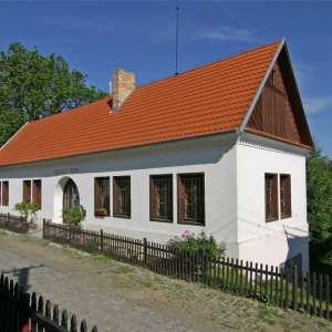 Obrázek
