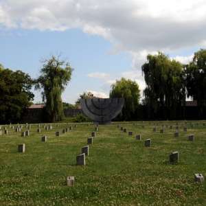 Obrázek