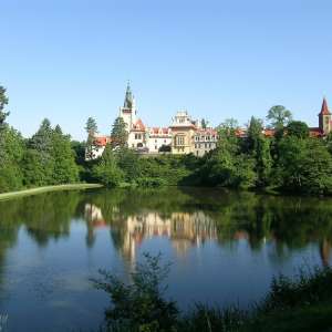 Obrázek