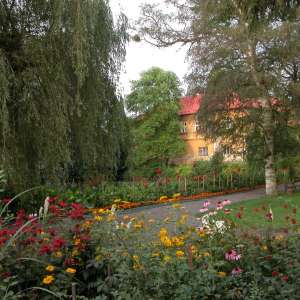 Obrázek