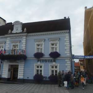 Obrázek