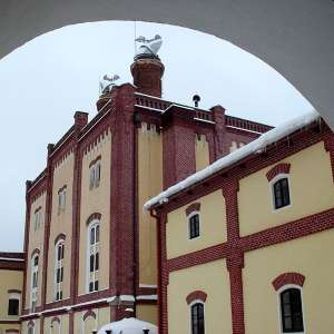 Obrázek
