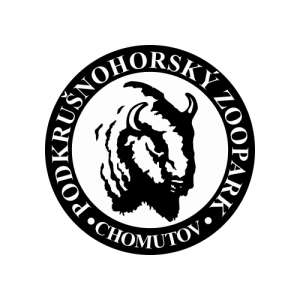 Obrázek