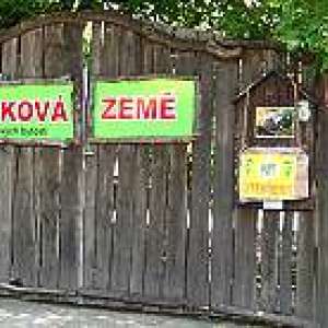 Obrázek