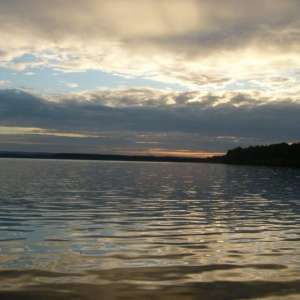 Obrázek