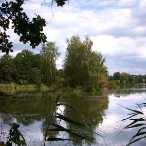 Obrázek