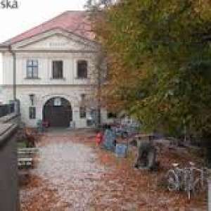 Obrázek