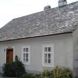 Obrázek