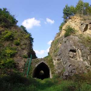 Obrázek