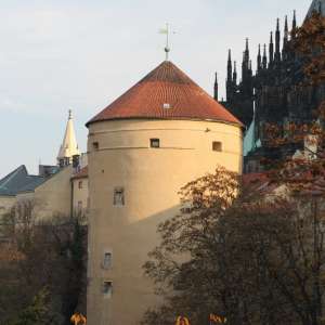 Obrázek