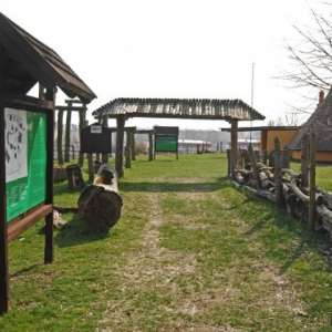 Obrázek