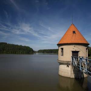 Obrázek