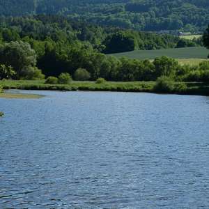 Obrázek