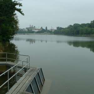 Obrázek