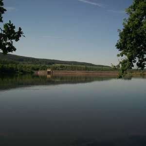Obrázek