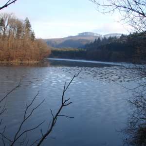 Obrázek