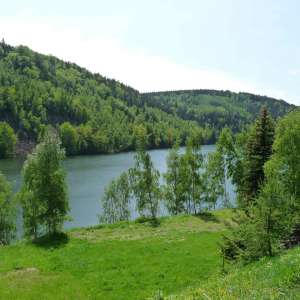 Obrázek