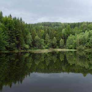 Obrázek