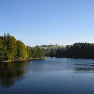 Obrázek