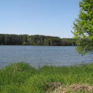Obrázek