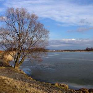 Obrázek