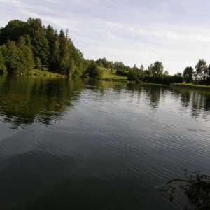 Obrázek
