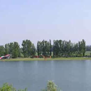 Obrázek
