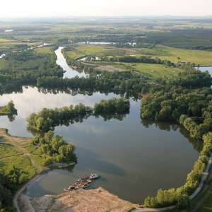 Obrázek