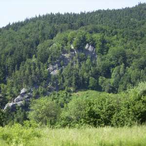 Obrázek