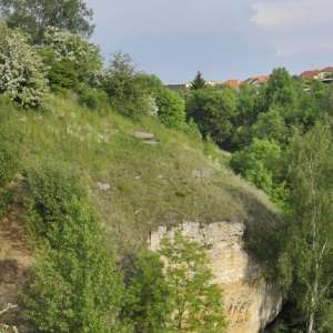 Obrázek