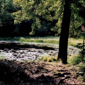 Obrázek