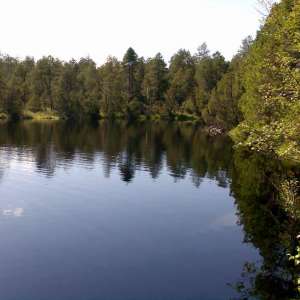 Obrázek