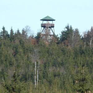 Obrázek
