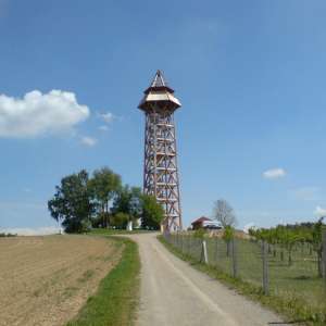Obrázek