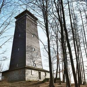 Obrázek