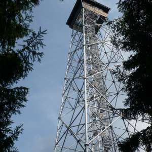 Obrázek