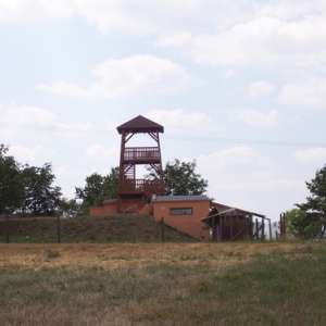 Obrázek