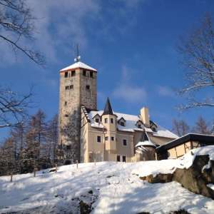 Obrázek