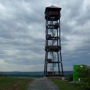 Obrázek