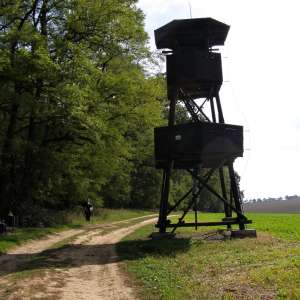 Obrázek