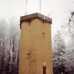 Obrázek