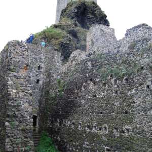 Obrázek