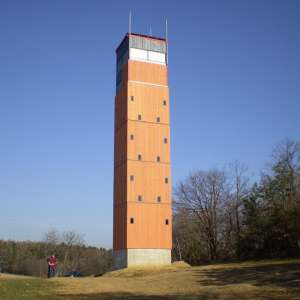 Obrázek