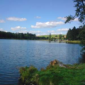 Obrázek
