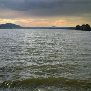 Obrázek