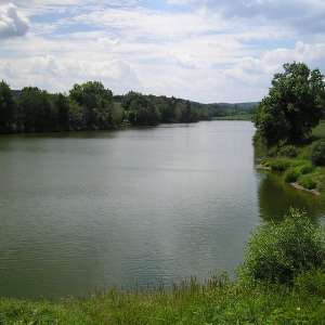 Obrázek