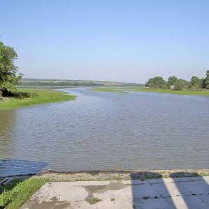 Obrázek