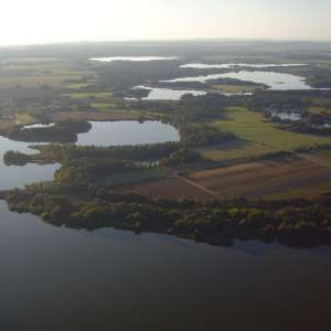 Obrázek