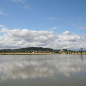 Obrázek