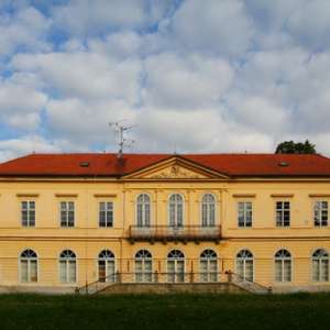 Obrázek